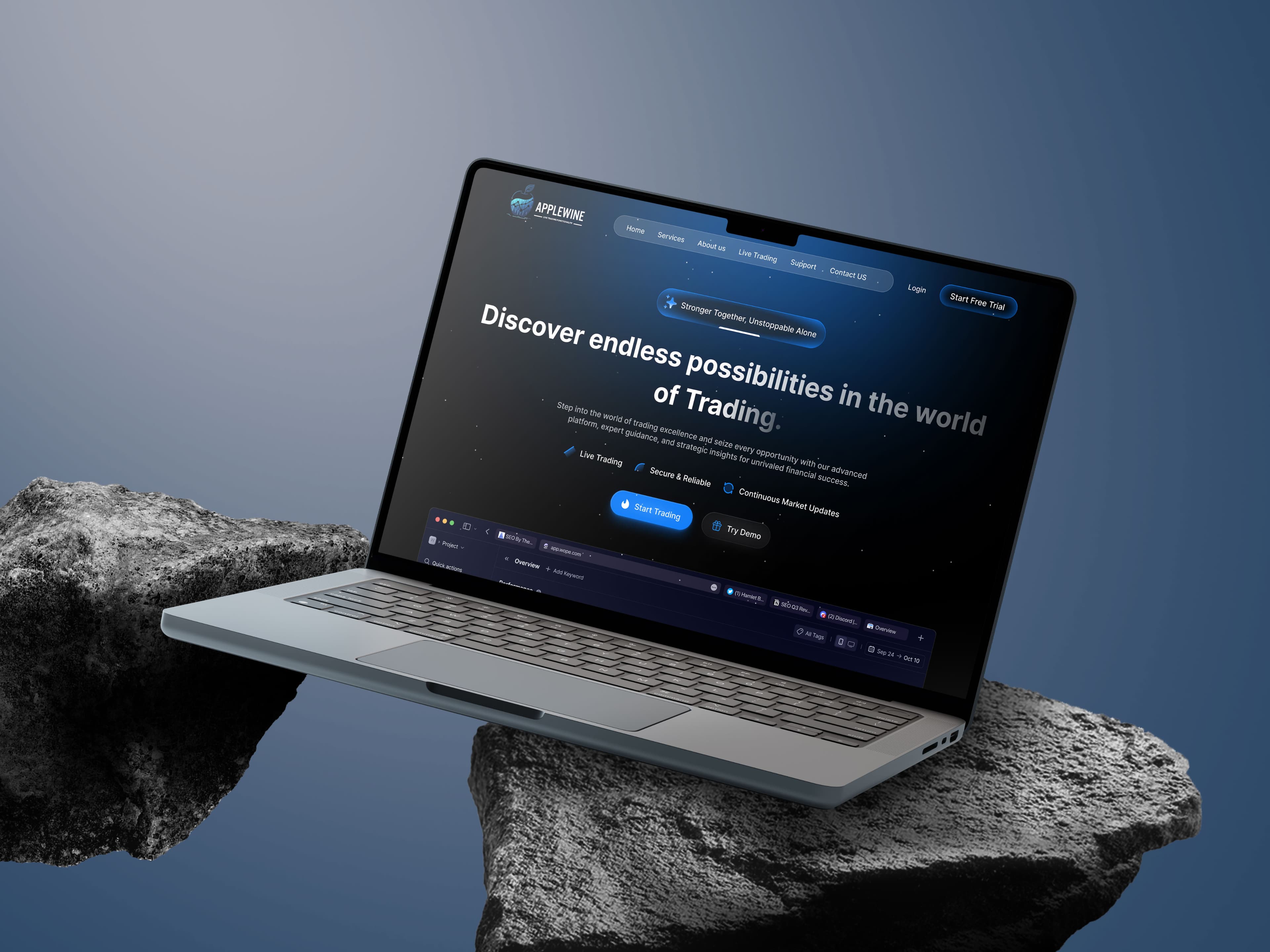Portfolio item