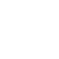 Established Companies SEO icon