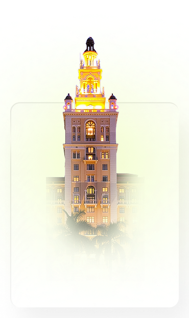 miami SEO